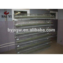 Kenya and Nigeria Automatic Poultry Farm Layer Quail Cages for Sale